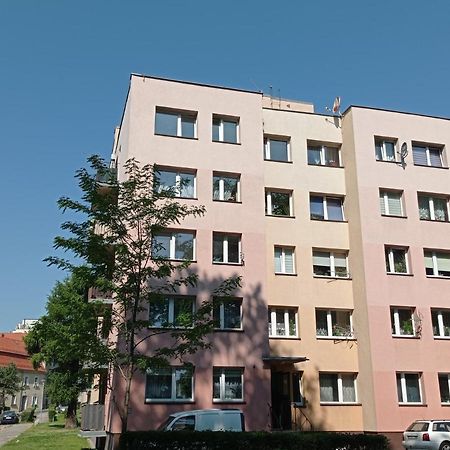 Babcares Apa Gory Izerskie Apartment Mirsk Екстериор снимка