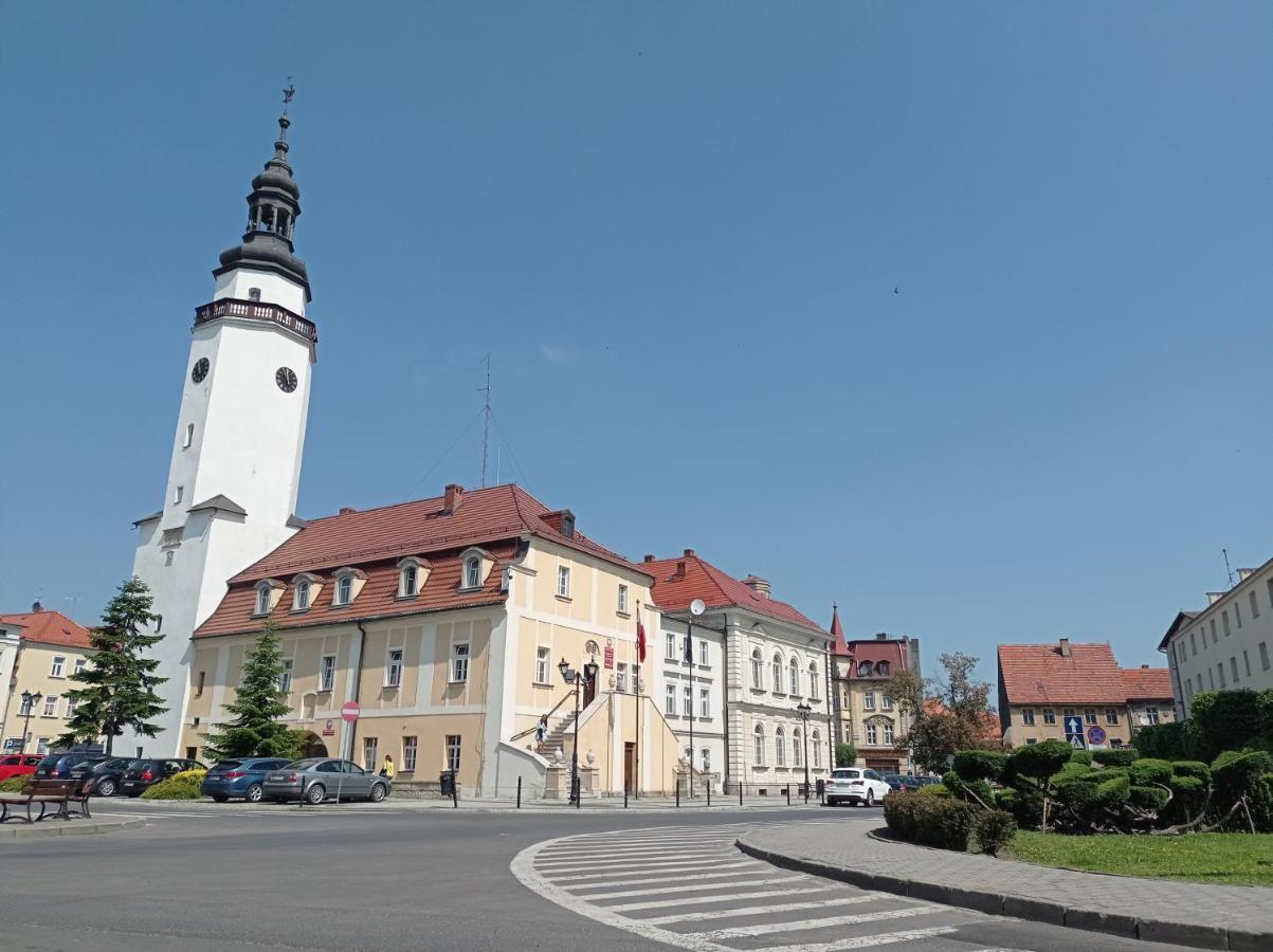Babcares Apa Gory Izerskie Apartment Mirsk Екстериор снимка