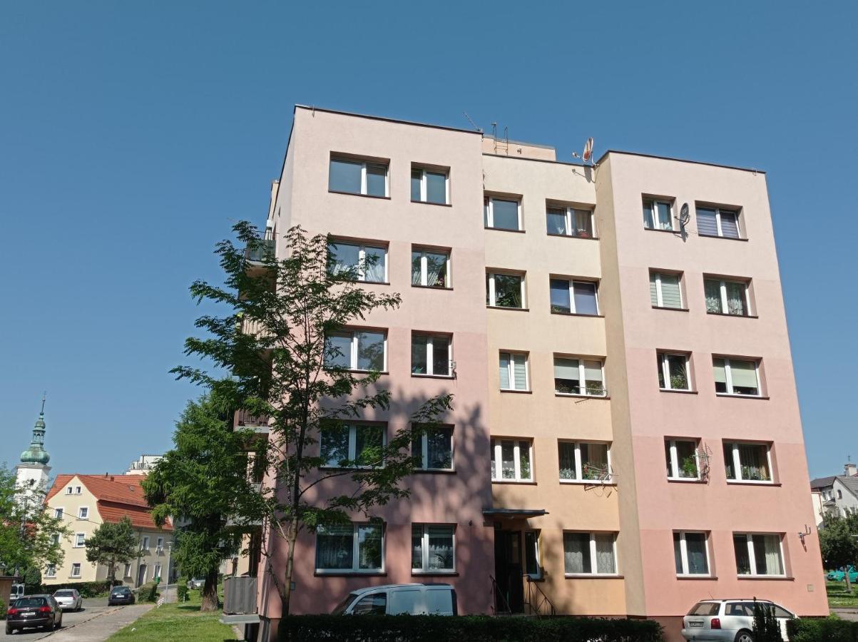 Babcares Apa Gory Izerskie Apartment Mirsk Екстериор снимка