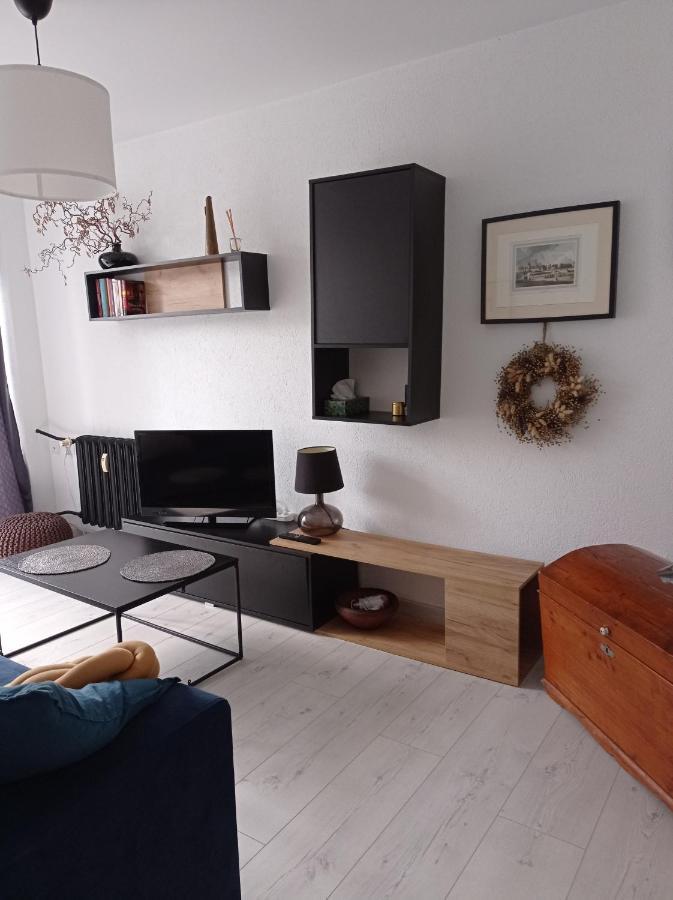 Babcares Apa Gory Izerskie Apartment Mirsk Екстериор снимка