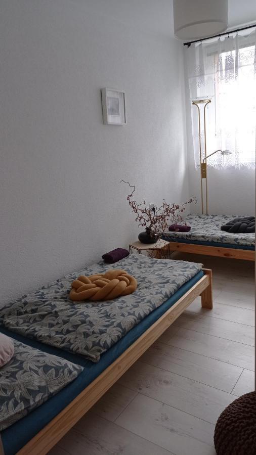 Babcares Apa Gory Izerskie Apartment Mirsk Екстериор снимка