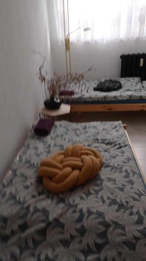 Babcares Apa Gory Izerskie Apartment Mirsk Екстериор снимка