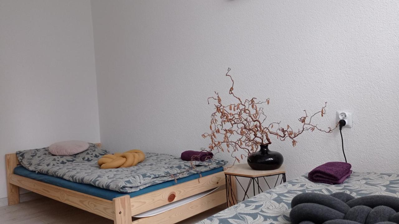 Babcares Apa Gory Izerskie Apartment Mirsk Екстериор снимка